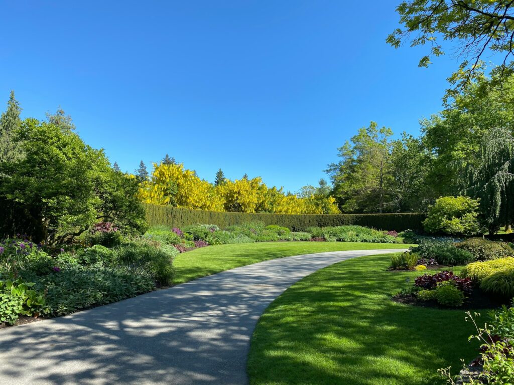 Launching a New Landscaping Product
