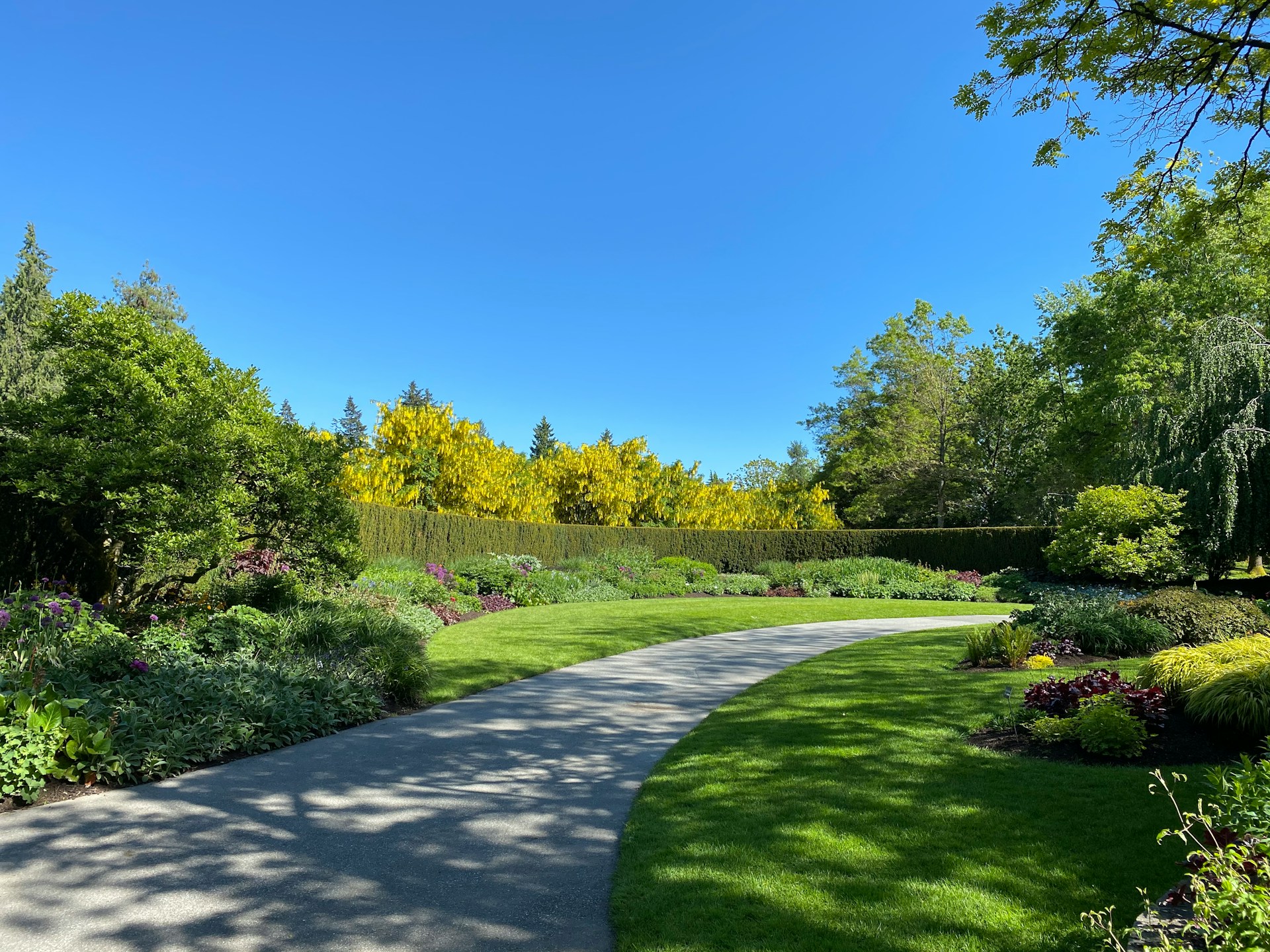 Launching a New Landscaping Product